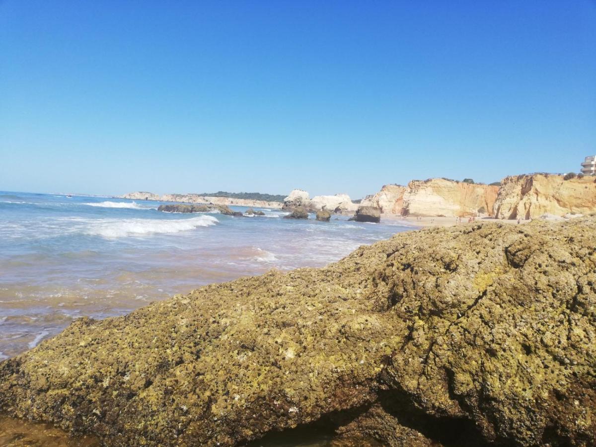 Rocha Praia Mar Beach Front Line Bay Portimao Exterior photo